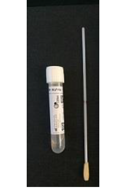 Provtagningsrör med pinne för avföringsprov.