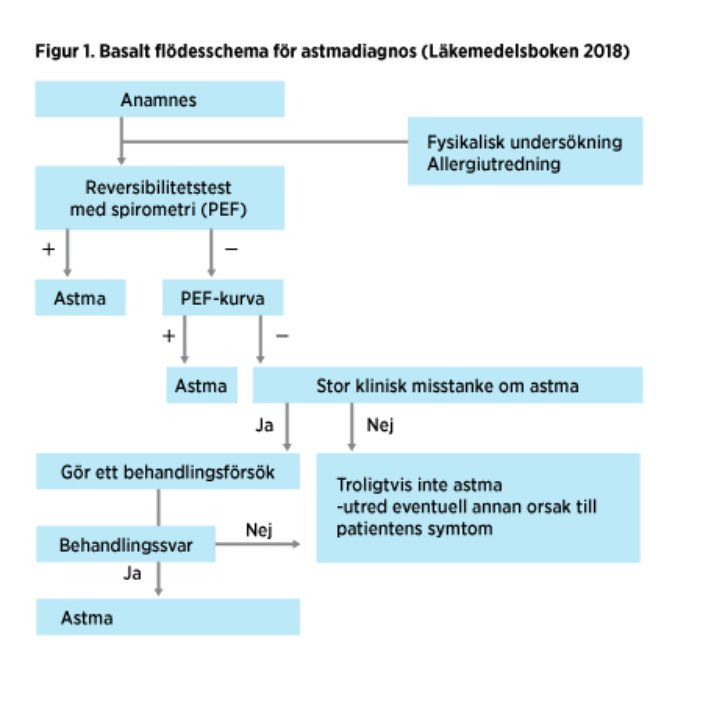 Basalt flödesschema för astmadiagnos