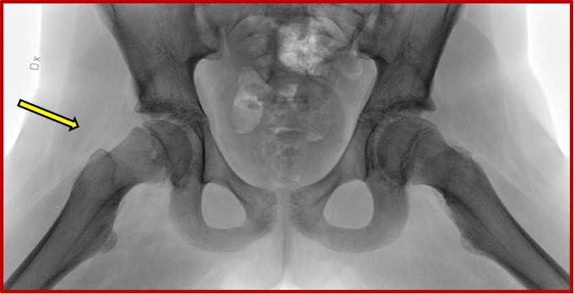 En bild som visar inomhus

Automatiskt genererad beskrivning
